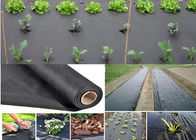 90gsm Black / White Weed Control Fabric Keep The Soil Moisture Available