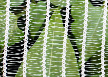Cina White PE Woven Garden Protection Netting Dengan Perlindungan UV 40g / m2 45g / m2 pabrik