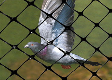 Cina 1m - 3m Lebar Jaring Burung Untuk Taman, Jaring Burung Untuk Tanaman Blueberry pabrik